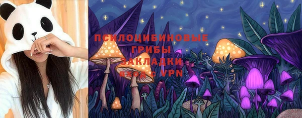 спиды Липки