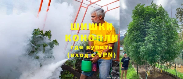 дурь Щёлкино